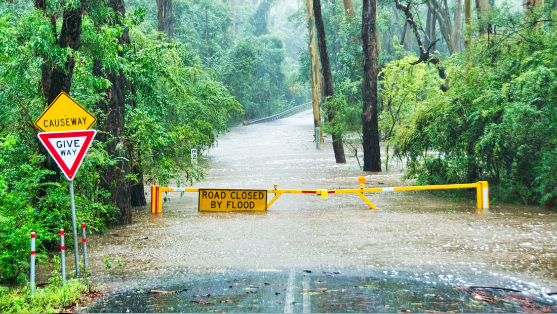 Things to know about Flood Zone and Flood Risks while purchasing property