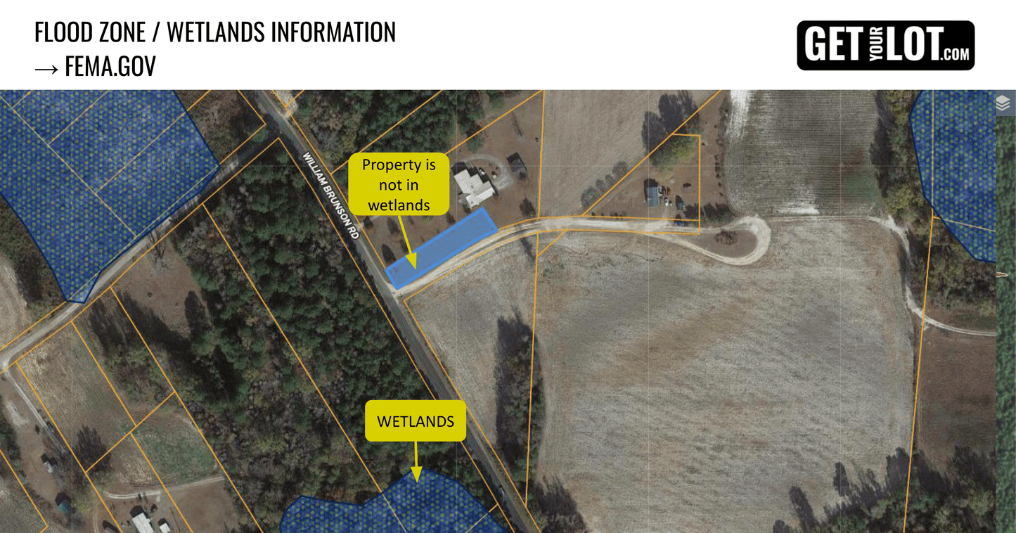 Wetland/Flood Zone Information