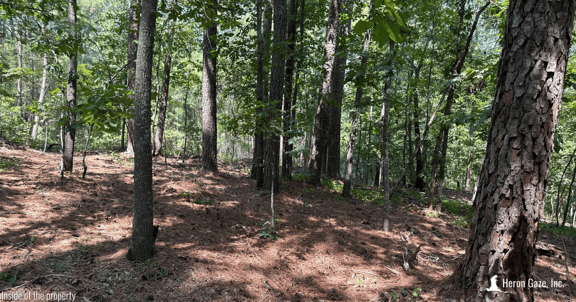 Inside of the Property