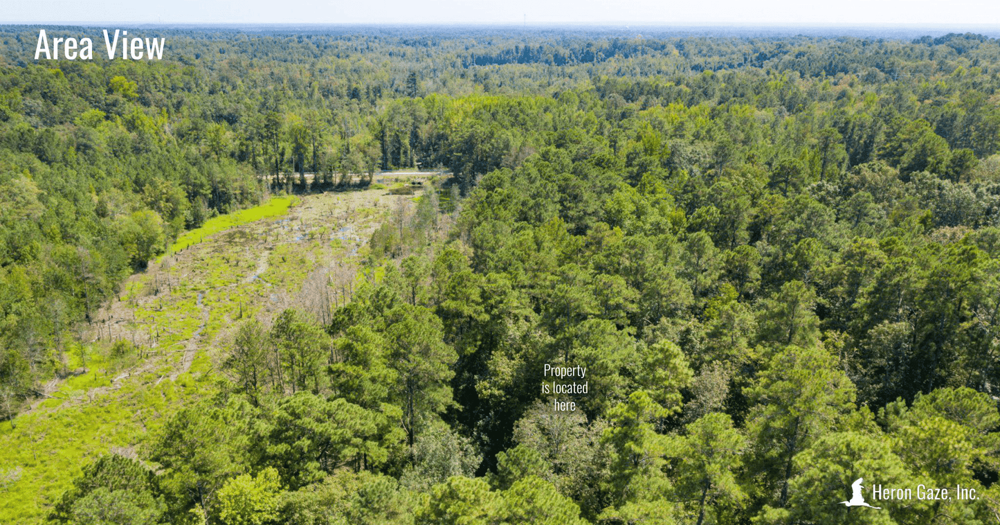 Area View of the Property - Actual Photo