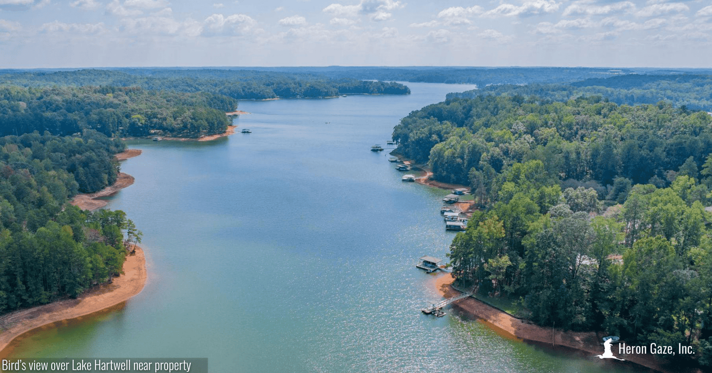 Bird's View Over Lake Hartwell Near The Property