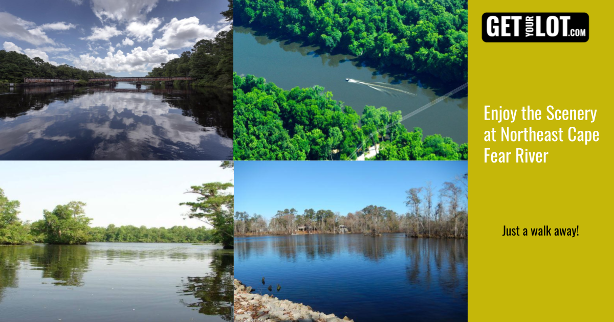 Enjoy the Scenery at Northeast Cape Fear River