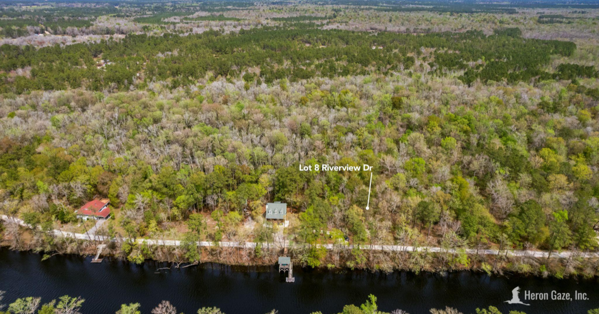 Actual Aerial View of the Property