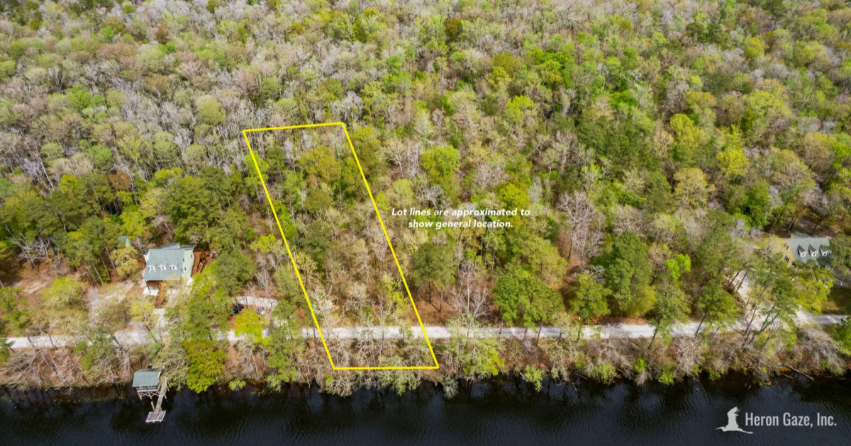 Actual Photo of the Property with boundaries (Approximate)