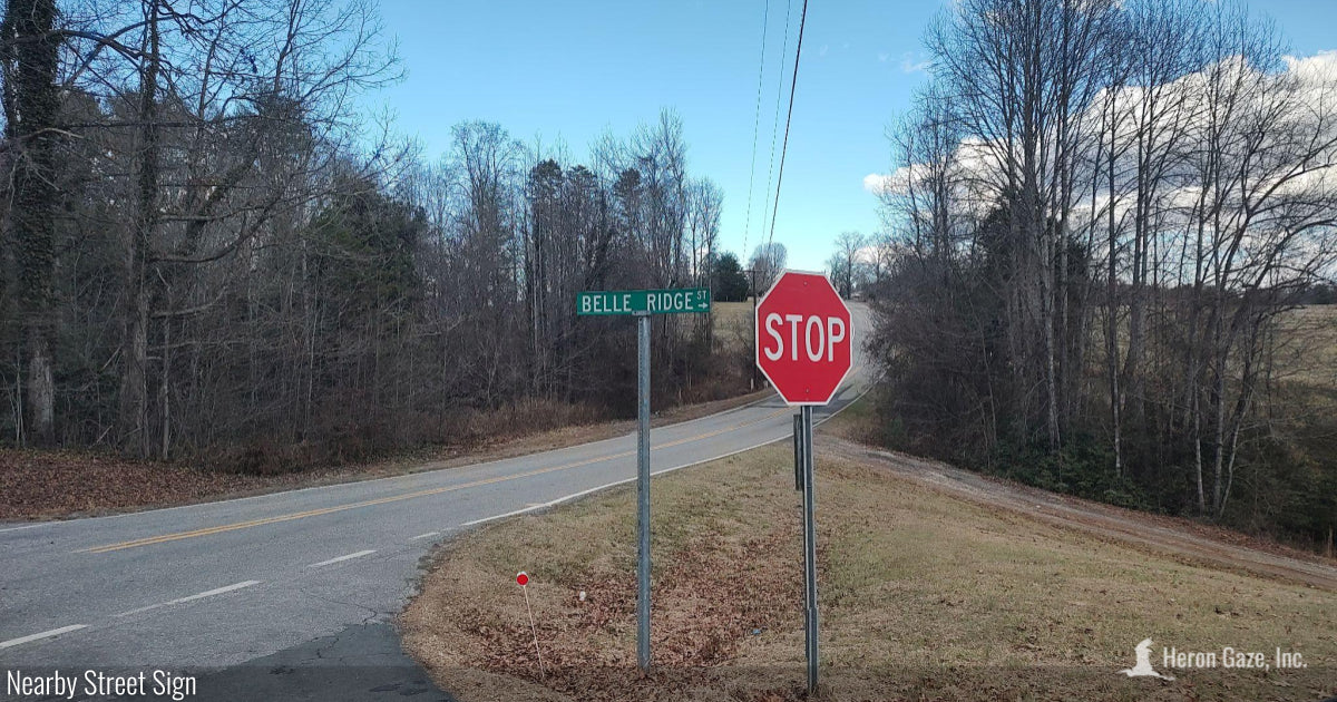 Actual Photo of the Nearby Street Sign